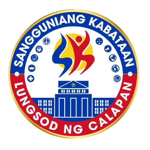 www.skcalapancityfederation.com favicon